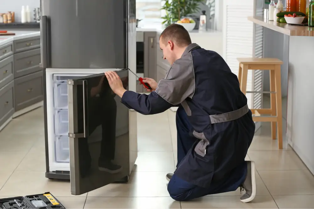 Fridge Repair